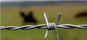 Barbed Wire