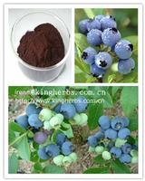 Bilberry extract Anthocyanidin CAS:84082-34-8 