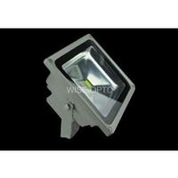 LED Flood light WS-L-0010