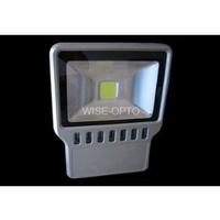 LED Flood light WS-L-0050