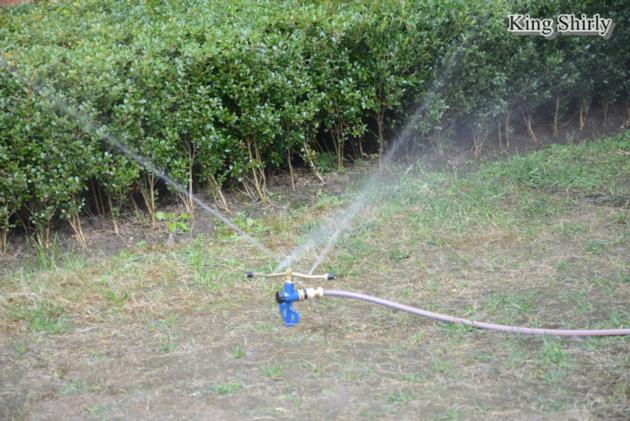 Metal 3 Arm Water Sprinkler On