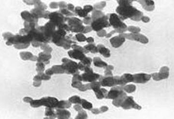 Silicon powders