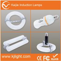 Induction lamp
