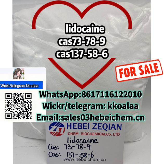 Cas73-78-9 Cas137-58-6 Lidocaine White Powder 99%
