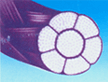 PGLA (910 ) suture 