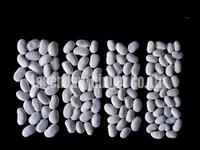 Large white kidney beans
