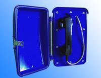 Auto-dial weatherproof phone