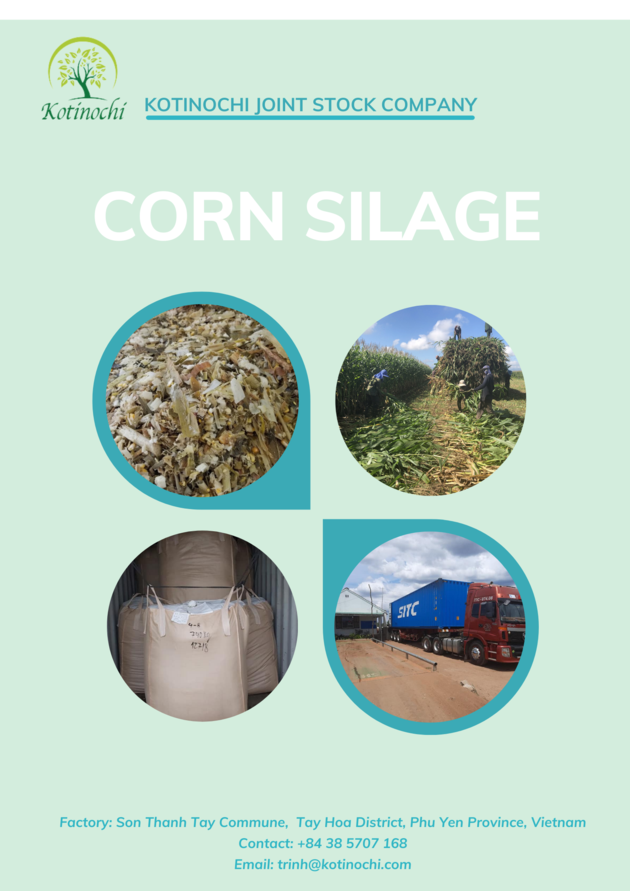Corn Silage In Jumbo Bag Best