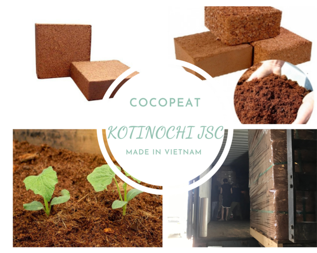 Cocopeat For Growing Plants Grow Bags