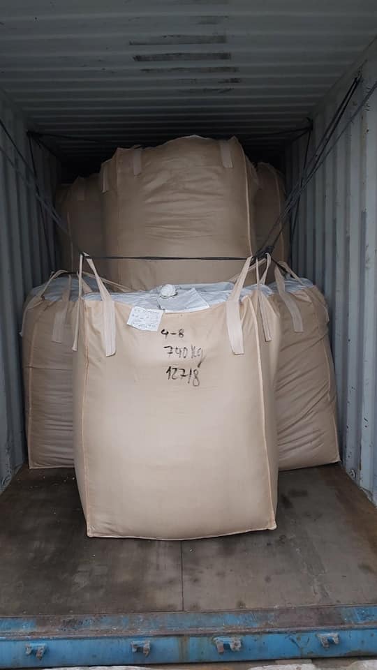 Maize Silage With Cheap Price CORN