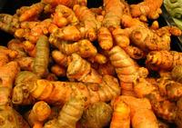 Turmeric  - www.koperasisejatera.blogspot.com
