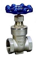 Stainless Steel Globe Valve