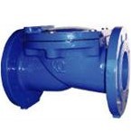Rubber Disc Check Valve