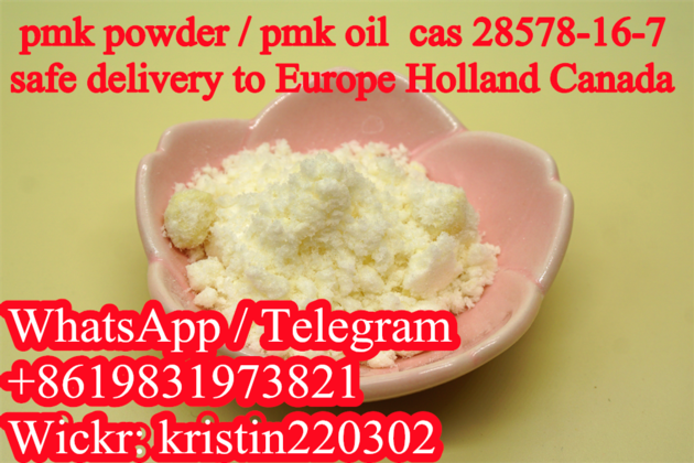 Special Line Delivery Free of Customs Clearance Pmk Powder Sour Pmk Oil Liquid 28578-16-7/13605-48-6