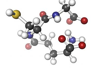 SPECIFICATION OF IBERIOTOXIN