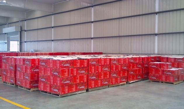 TOMATO PASTE