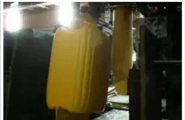COOKING OILS