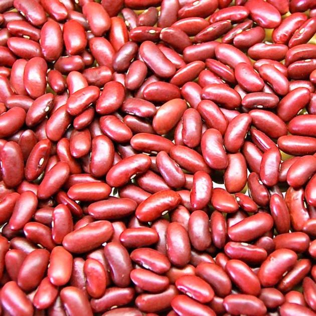 Dried Kidney Beans For Sale