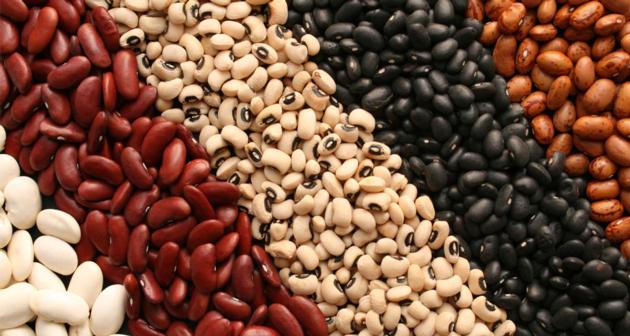 Dried Kidney Beans for Sale