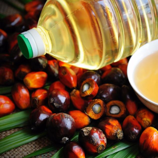 Crude and Refined Palm Oil RBD Palm Olein CP8 and CP10