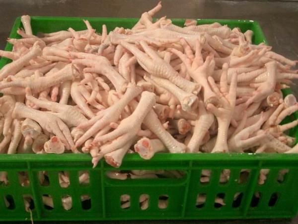 Frozen Chicken Feet and Chicken Paws