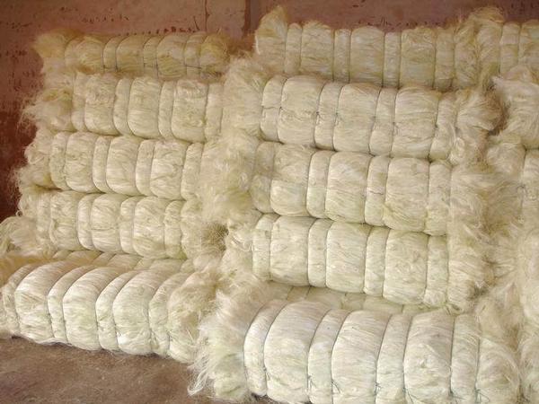 Sisal Natural Fibre/ Natrual Sisal Fibre for Rope ,Sisal Twine,Sisal Fibre