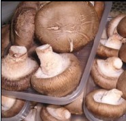 mushroom(shiitake)