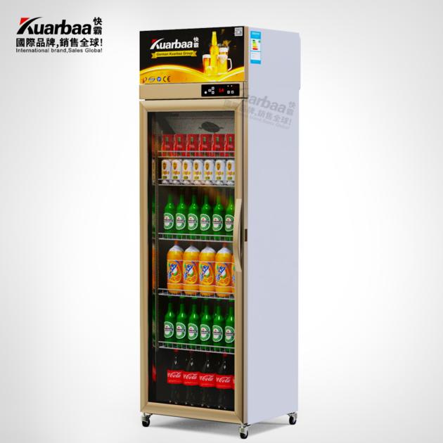 Beverage Display Cabinet Freezer Refrigerator Commercial Supermarket Wine Cabinet Glass Door