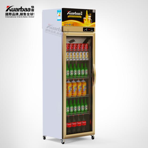 Beverage Display Cabinet Freezer Refrigerator Commercial