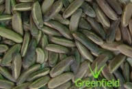 Gulmohar seeds
