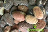 Karanj seeds 