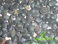 Vilayati imli  seeds 