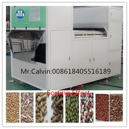 bean color sorter