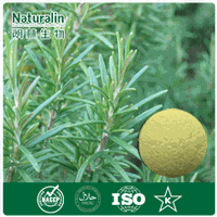 Rosemary Extract