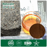 Dark tea extract