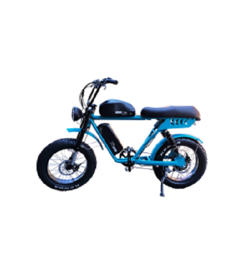 Dual Battery Fat Tire Electric Bike