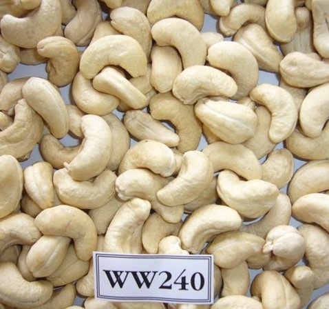 Cashew Nuts Cashew Kernels Ww240 Ww320