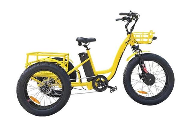 Electric Cargo Trike