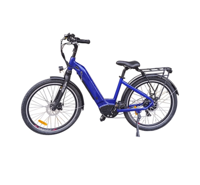 Hidden Battery Electric Bike