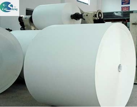 PE coated paper Roll