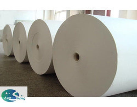 PE Coated Paper Roll