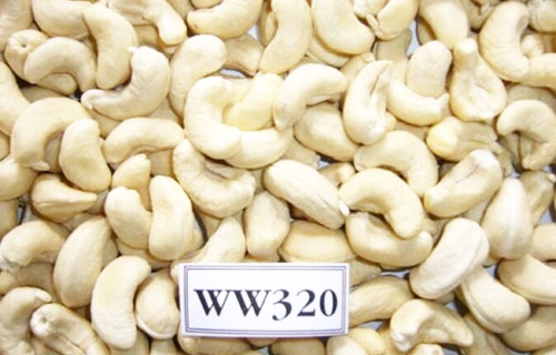 Cashew Nuts/ Cashew Kernels ww240/ ww320 from Tanzania