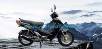 DF110-2D cub motorcycle,110cc,125cc motorcycle