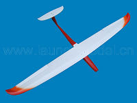 RC  Glider F5B