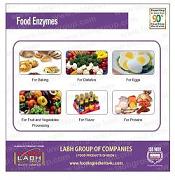 Food Enzymes