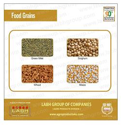 Grains