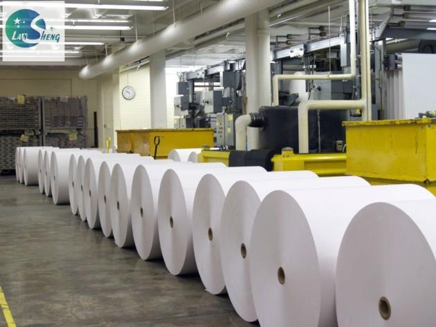 PE Coated Paper Roll