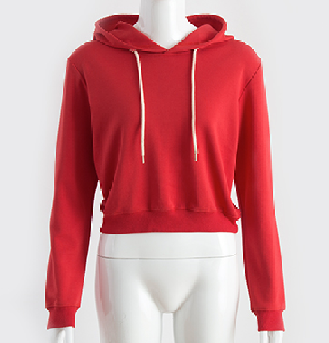 Crop Hoodie