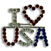 USA word Brooch