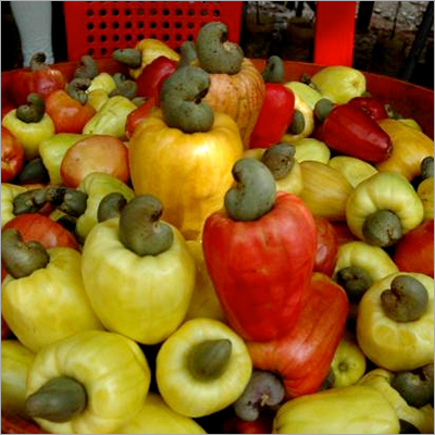 White Cashew Nut Kernels For Sale